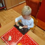 phoca_thumb_m_motlci 10 Fotogalerie